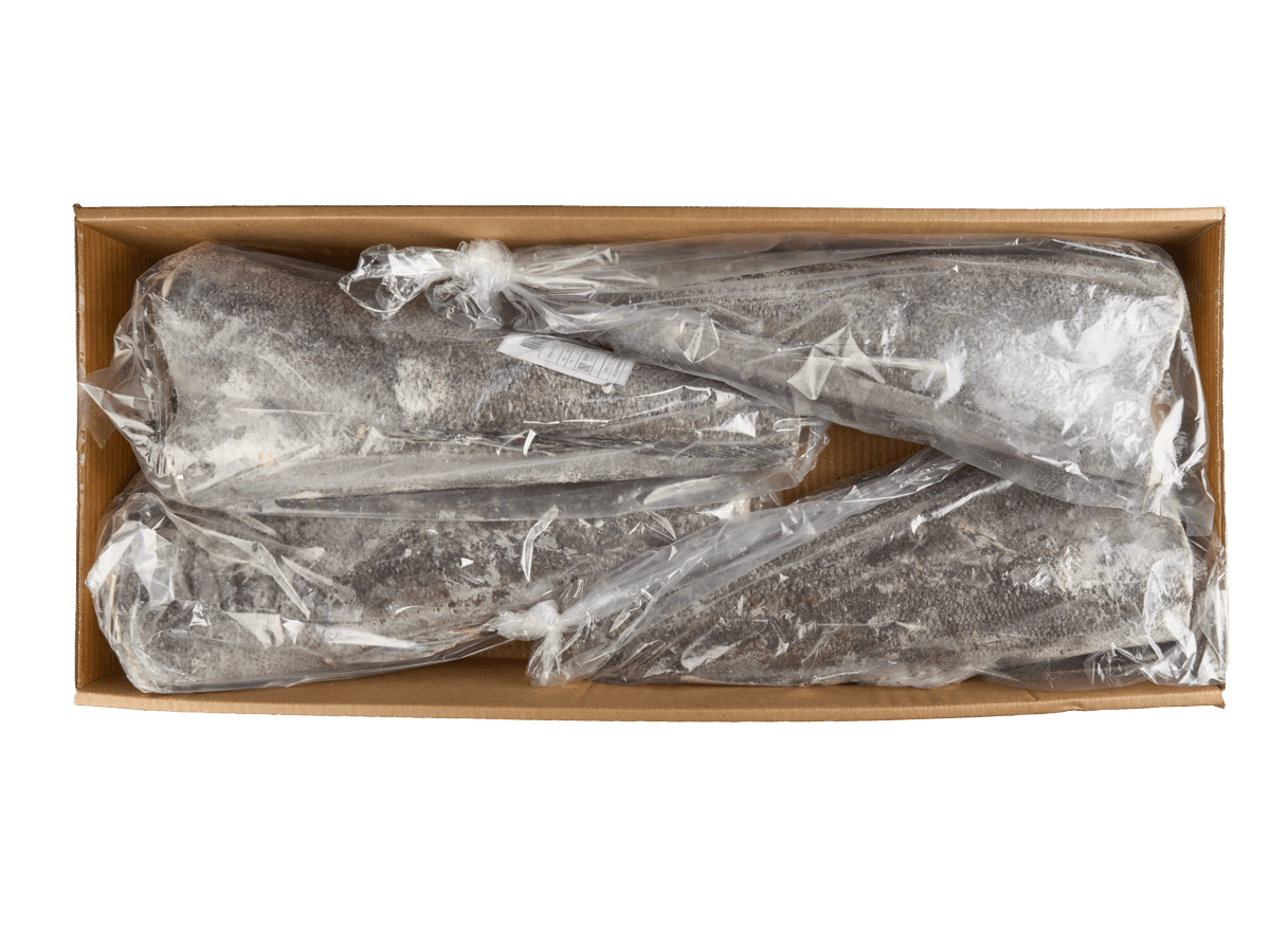 Патагонский клыкач с/м б/г  8-10кг