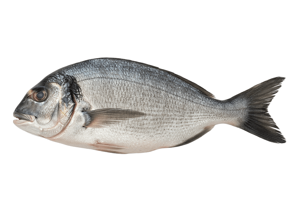 Дорадо с/м тушка н/р 300-400г