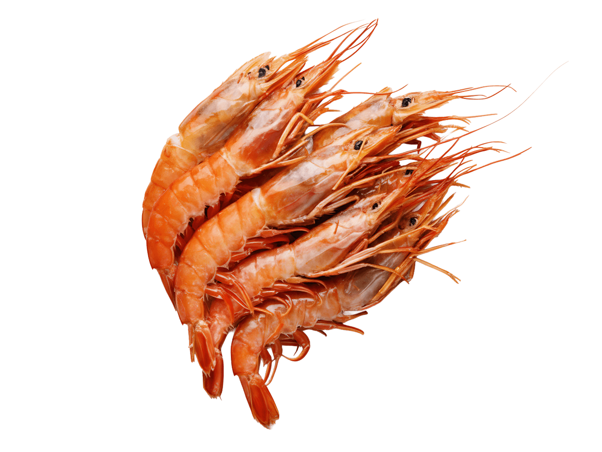 Креветка красная аргентинская с/м с/г в панц. L2 (21/30), 2кг, Аргентина