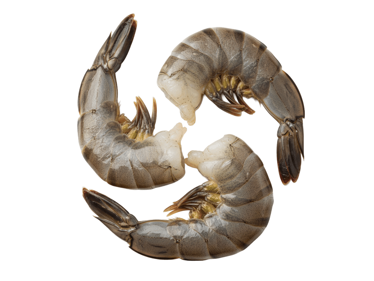 Креветка черная тигровая с/м б/г в панц. 6/8 IQF, Бангладеш