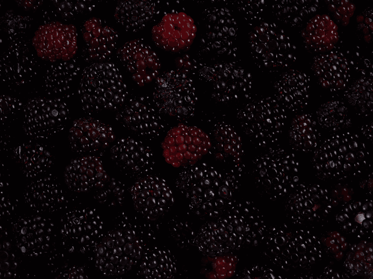 Ежевика с/м 10 кг, Сербия