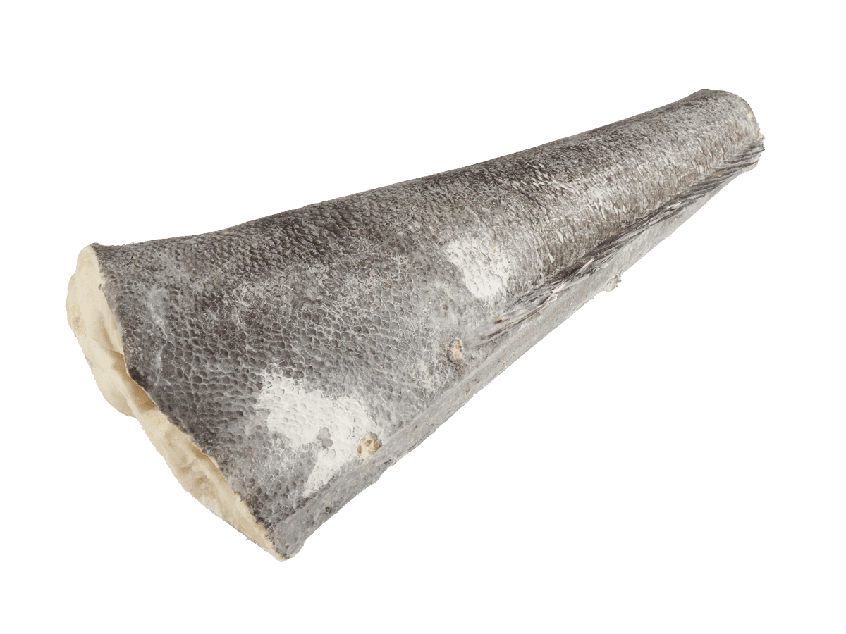 Патагонский клыкач с/м б/г  8-10кг