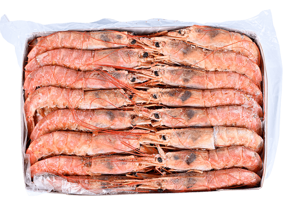 Креветка красная аргентинская с/м с/г в панц. L1 (10/20), 2кг, Аргентина