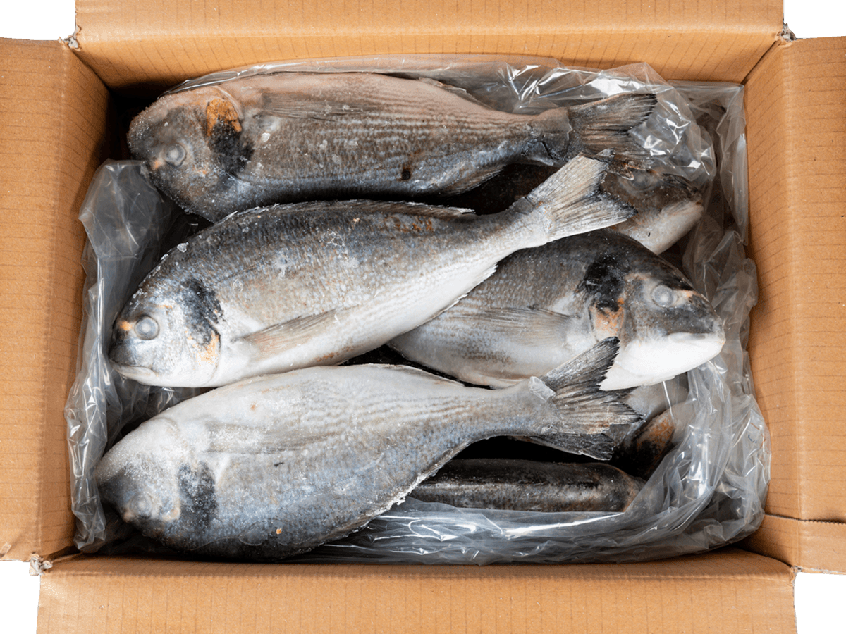 Дорадо с/м тушка н/р 300-400г