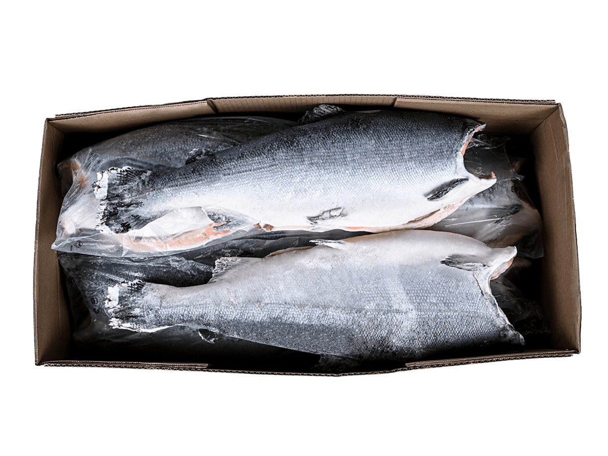 Кижуч с/м тушка б/г  2,7-4,1кг, Чили