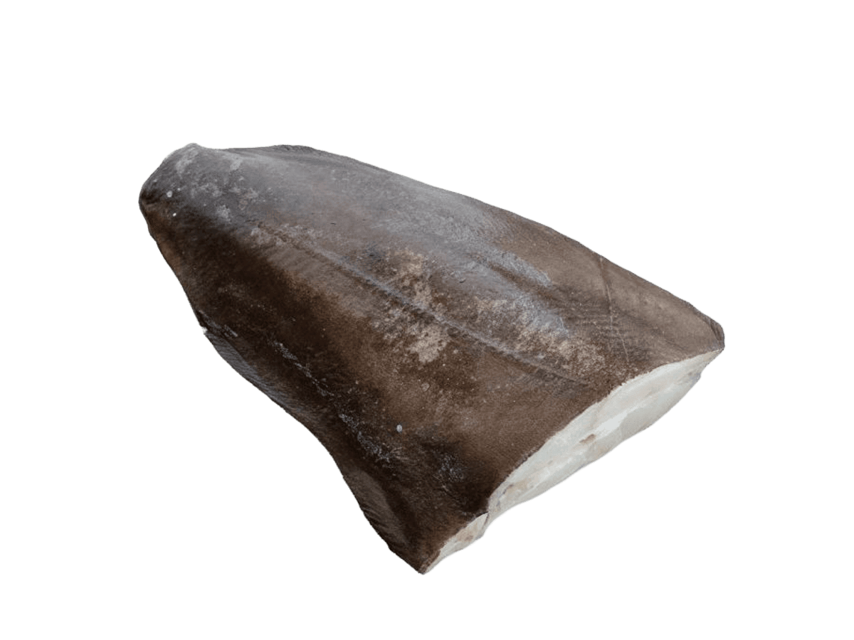 Палтус синекорый с/м тушка б/г  3-5кг