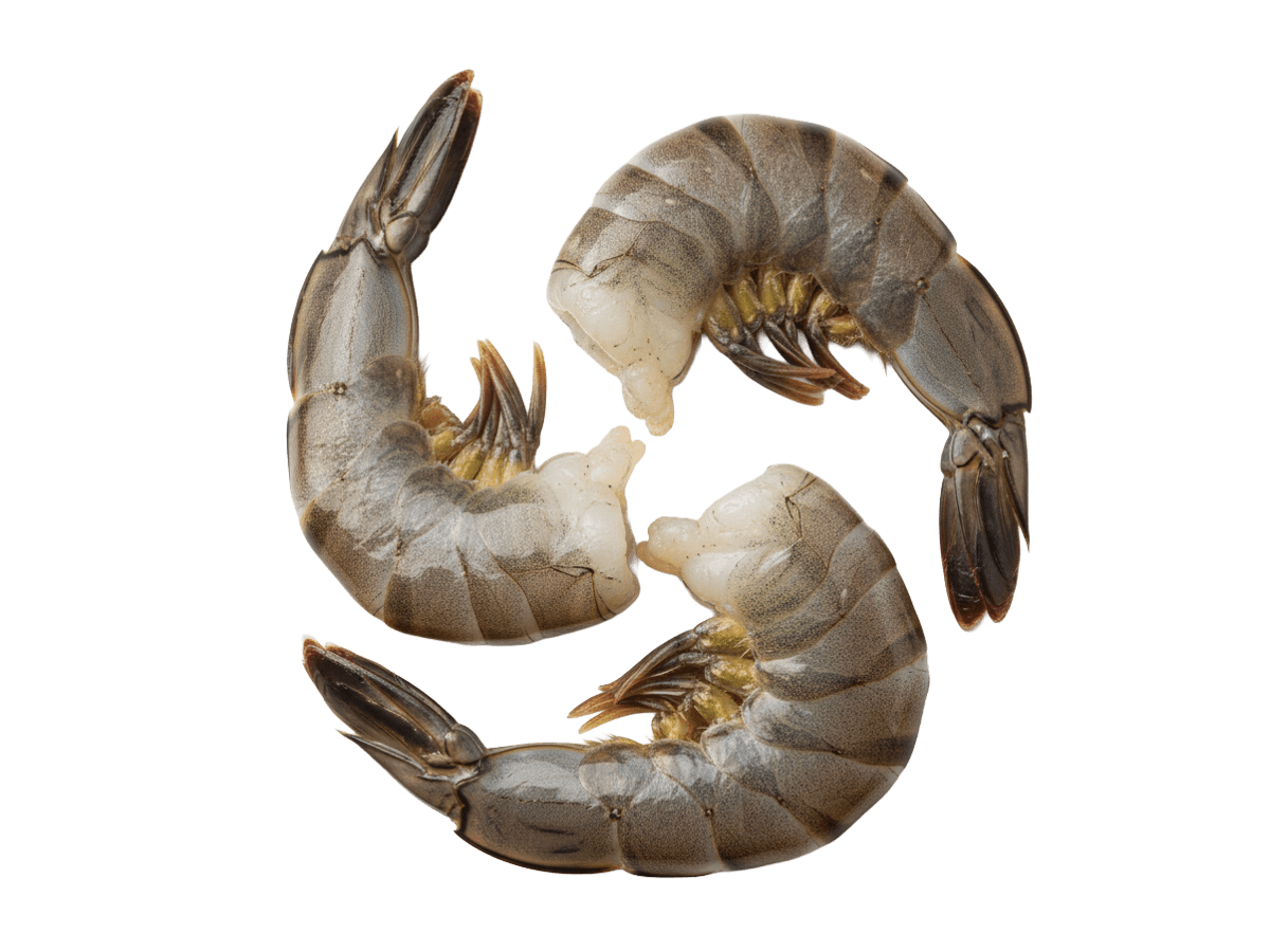 Креветка черная тигровая с/м б/г в панц. 21/25 IQF, Бангладеш