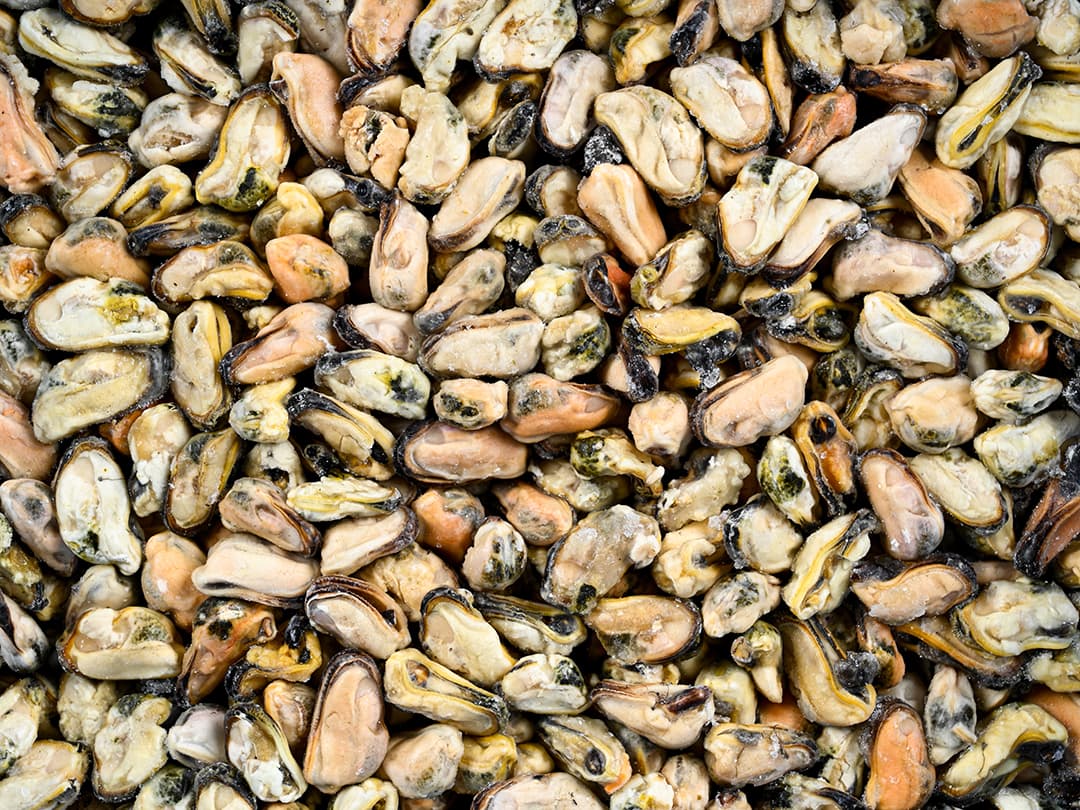 Мидии мясо в/м 300-500, Чили