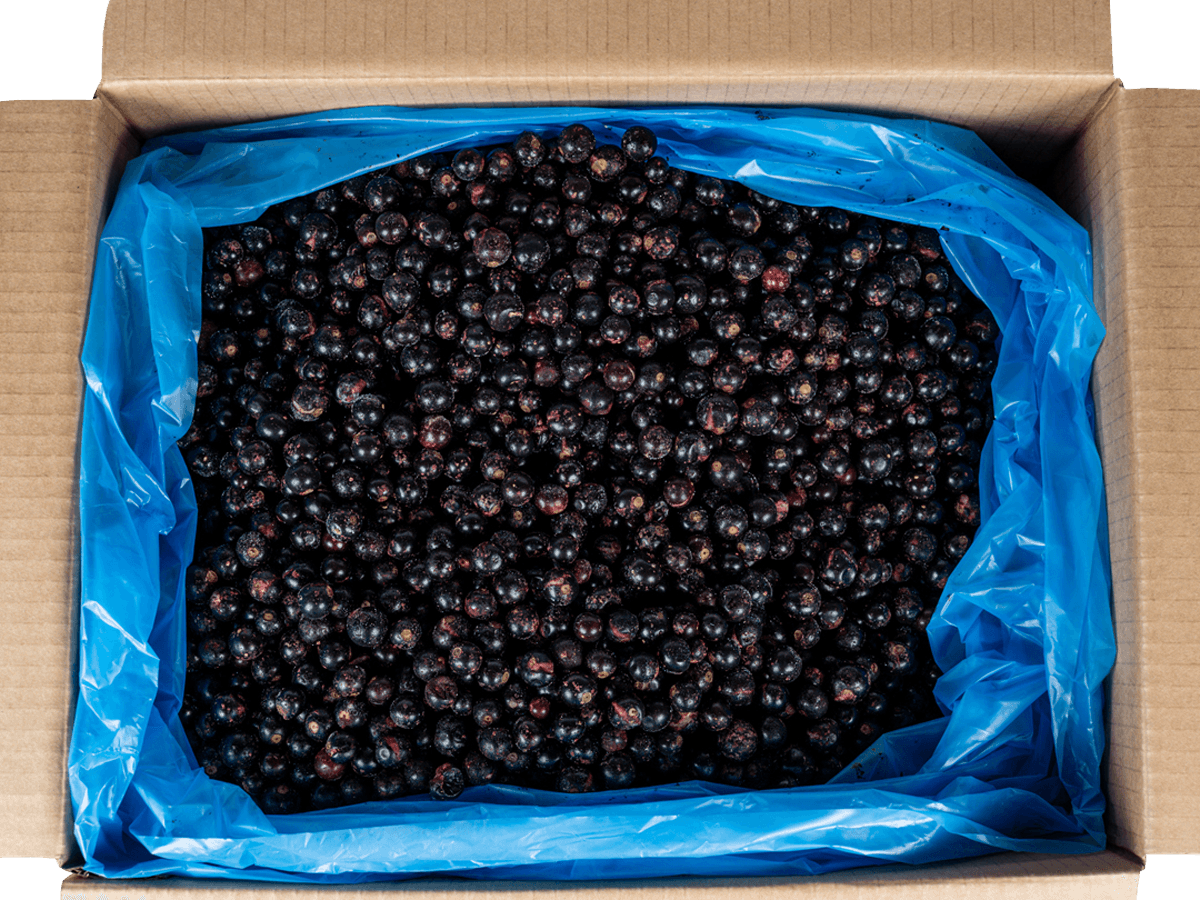 Черная смородина с/м 10кг, Китай