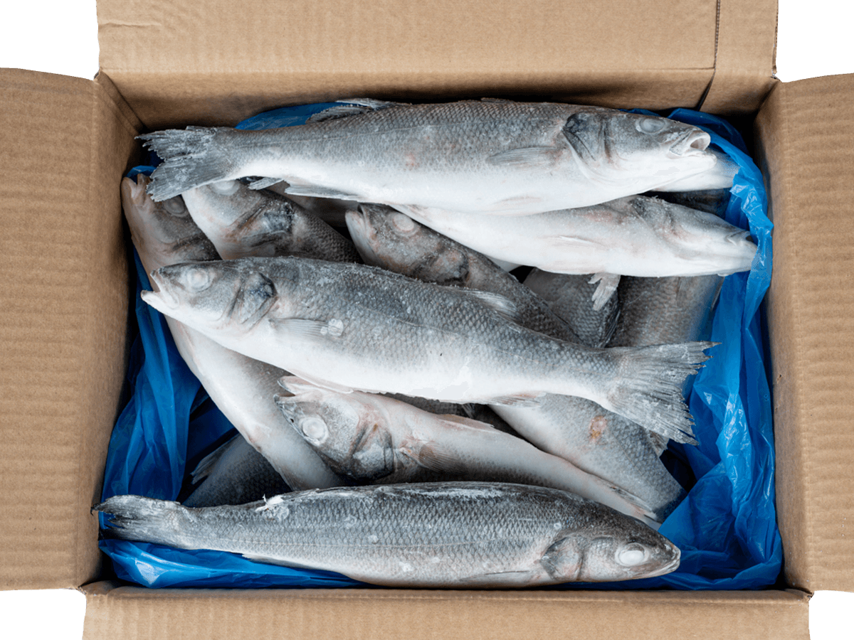 Сибас с/м тушка н/р  300-400г