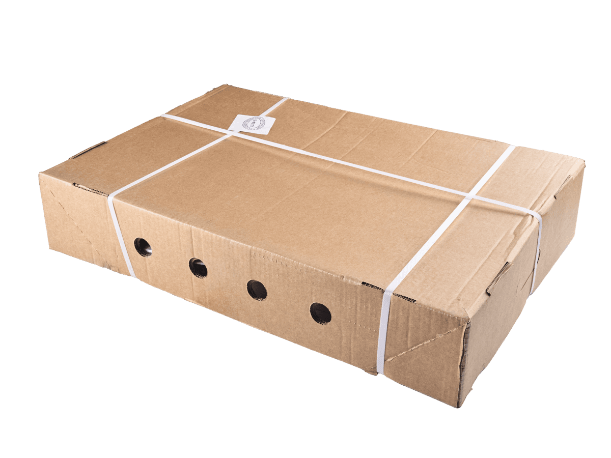 Форель сл/с филе Trim B 1,0-1,4кг