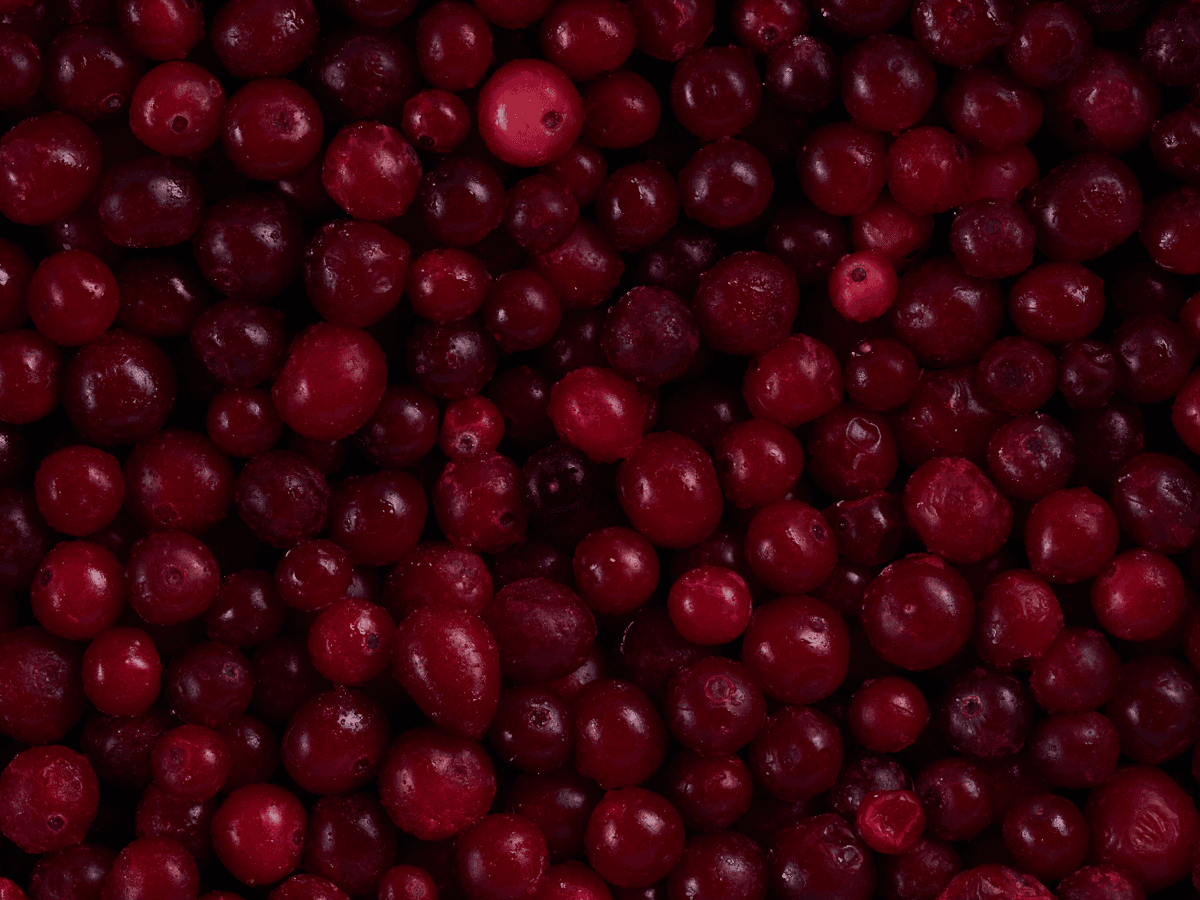 Клюква дикорастущая с/м 10 кг, Россия