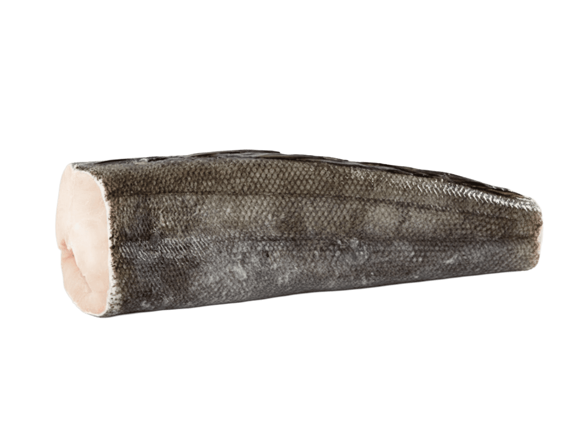 Патагонский клыкач с/м б/г  8-10кг