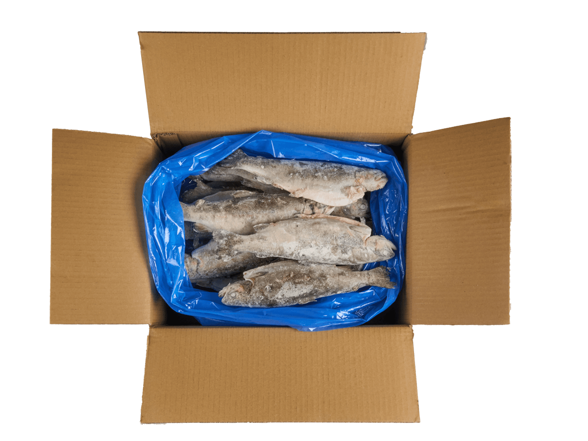 Форель радужная с/м тушка с/г  250-300г