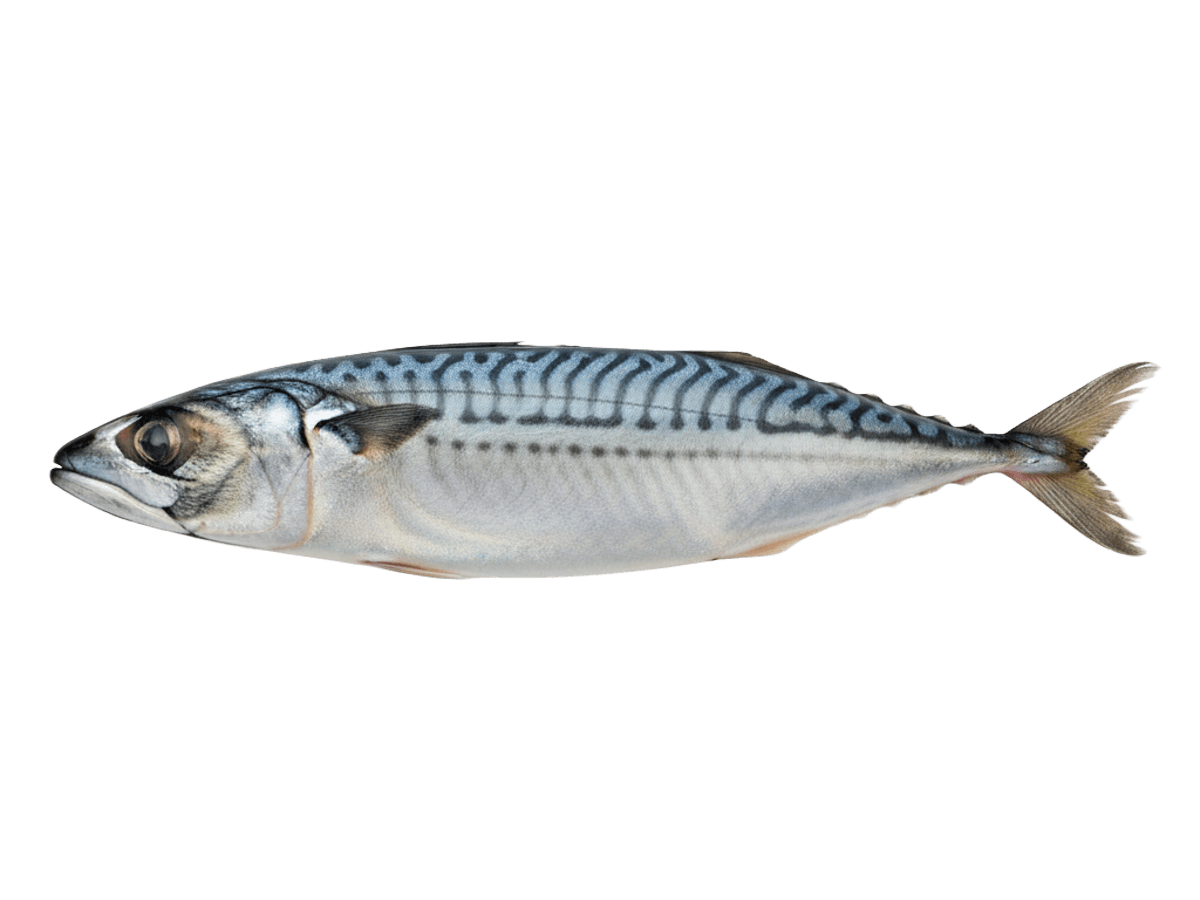 Скумбрия тушка н/р 400-600г