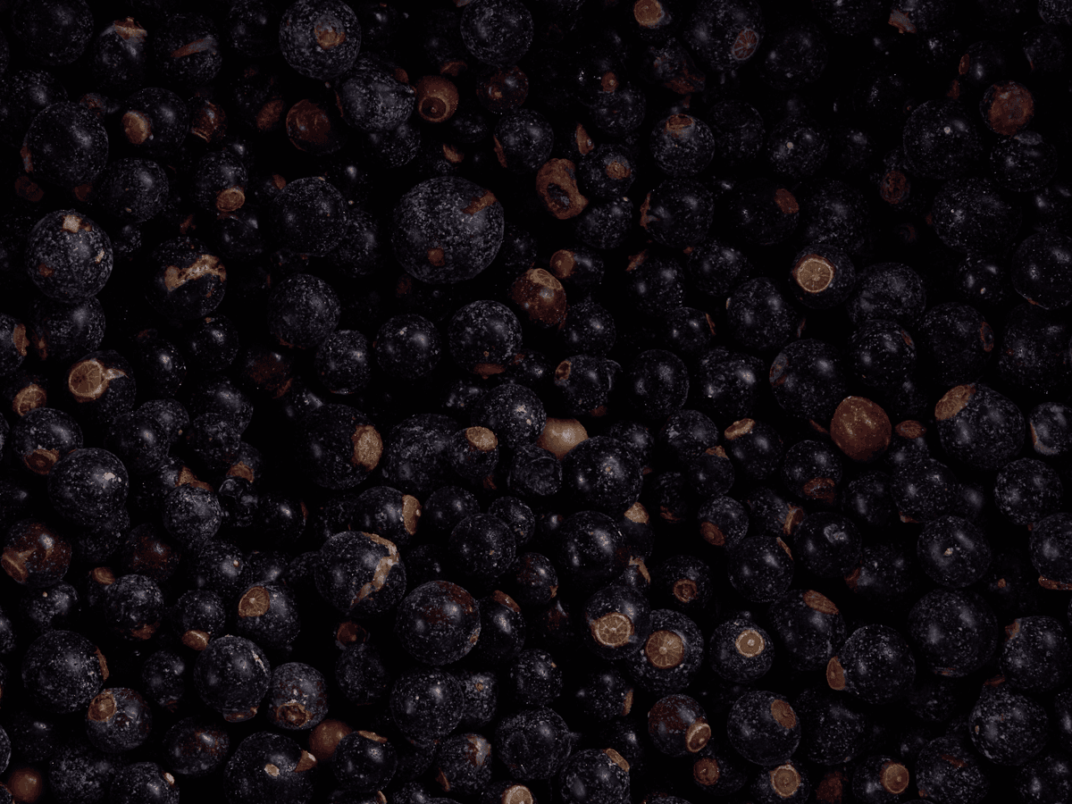 Черная смородина с/м 10кг, Киргизия