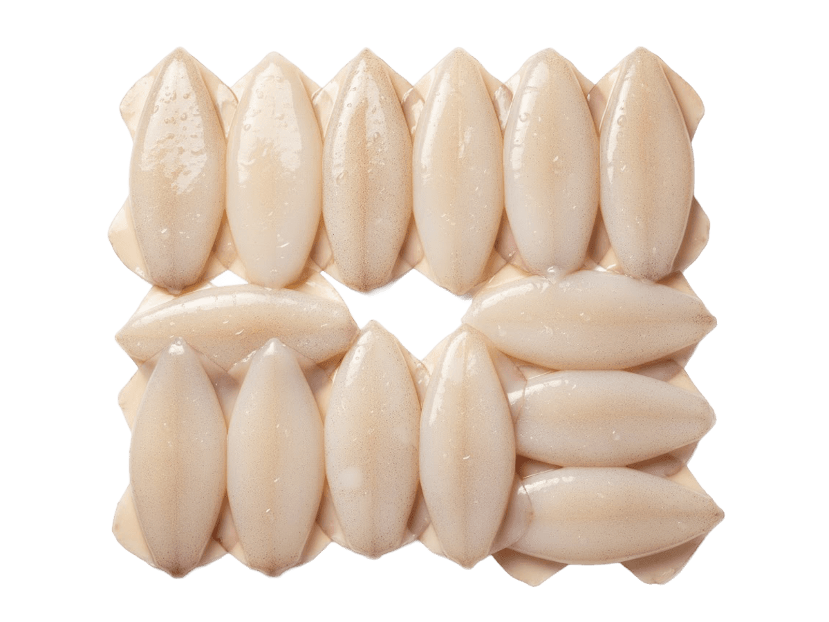 Кальмар командорский филе