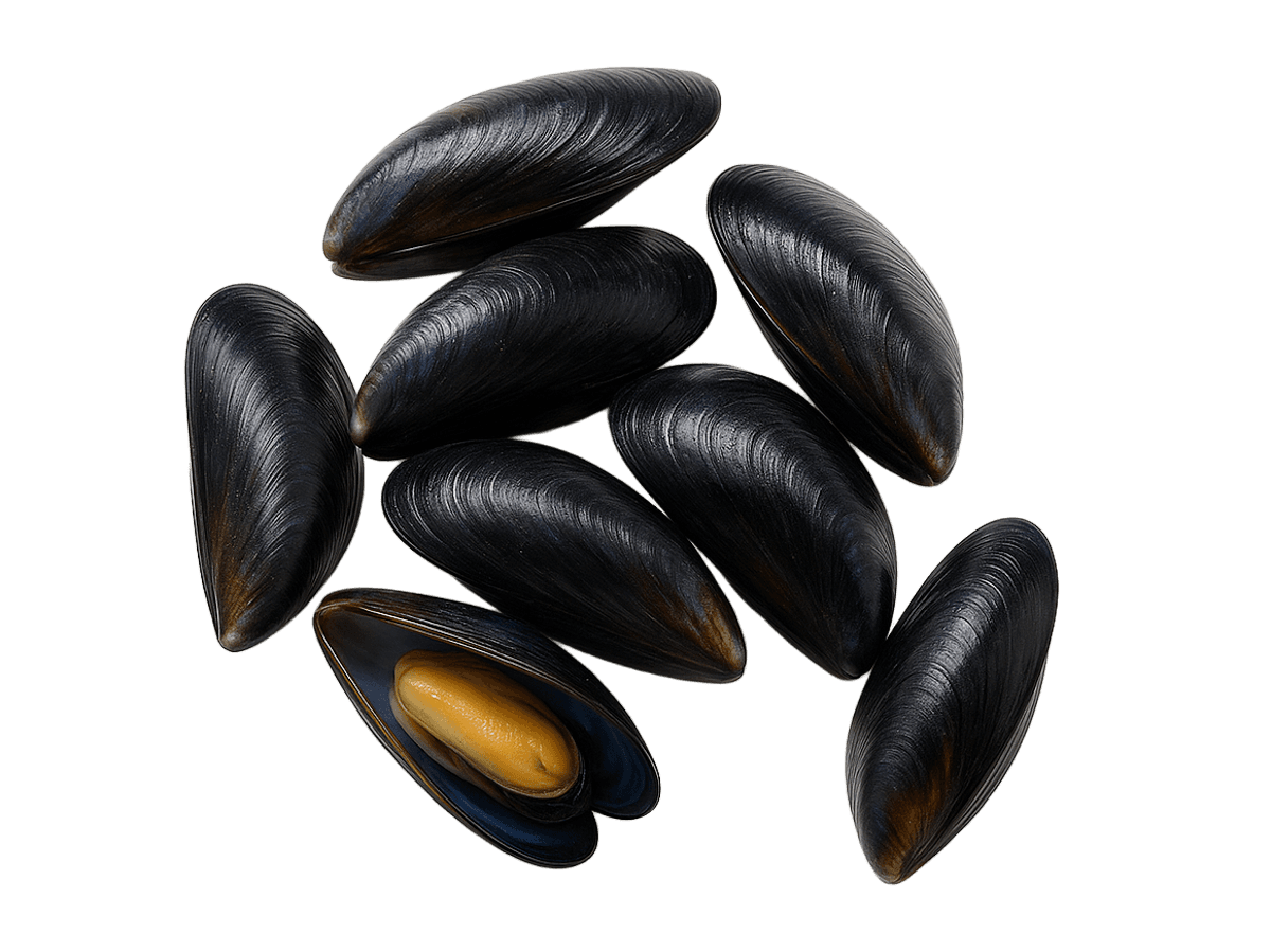 Мидии в створках 50/70, Чили