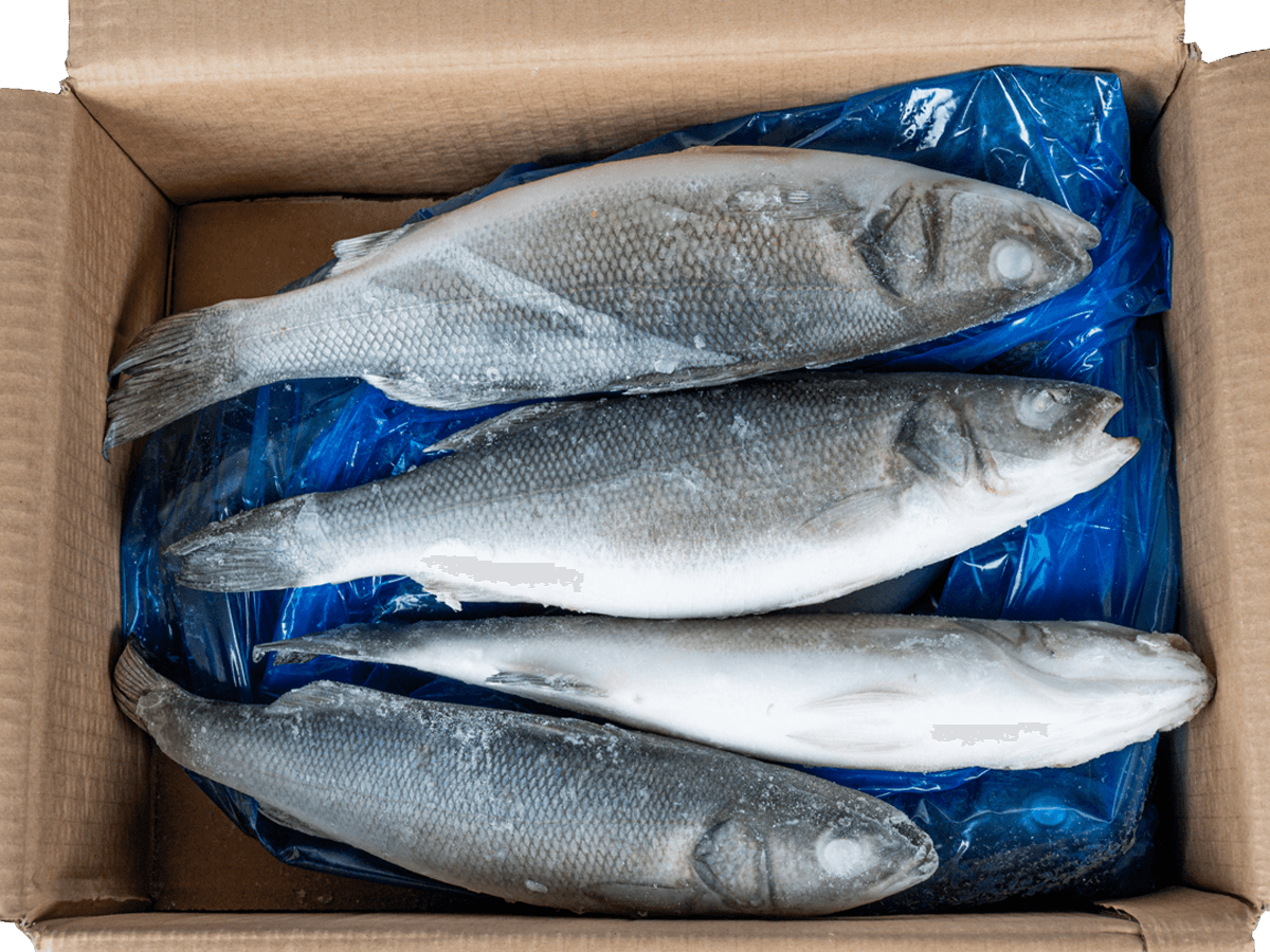 Сибас с/м тушка н/р  400-600г