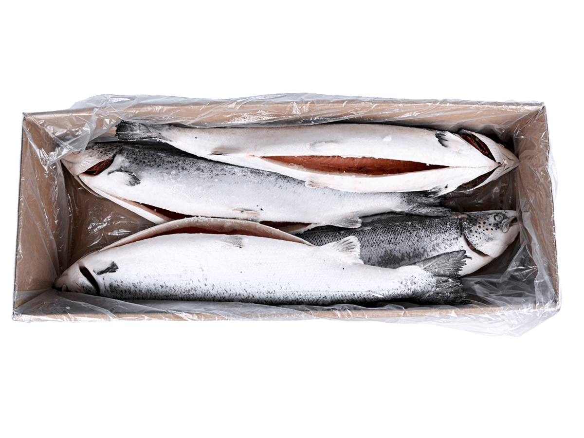 Лосось с/м тушка ПСГ premium 6-7кг