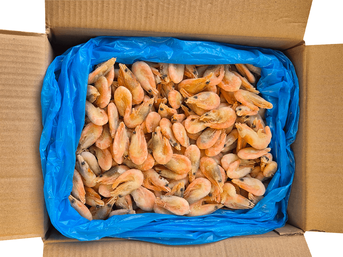 Креветки северные в панцире 220+ в/м IQF, 5 кг