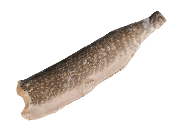 Щука с/м филе на коже  