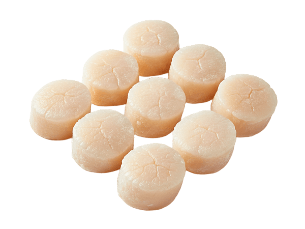 Морской гребешок с/м 80/100 IQF 8%