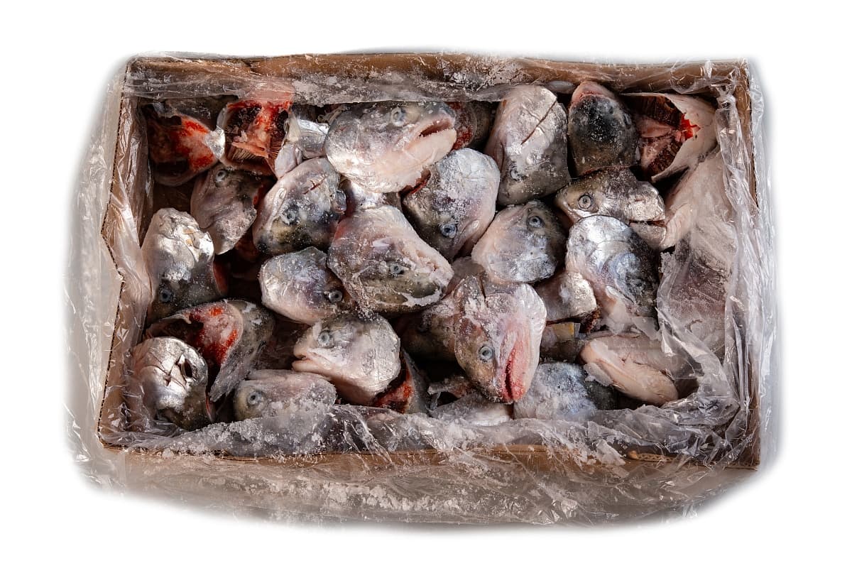 Форель зам. субпродукты головы м/с , IQF Беларусь , квант