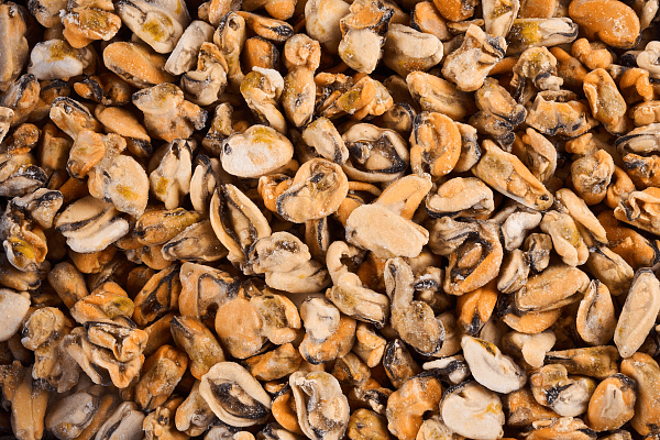 Мидии мясо в/м 100-200, Китай