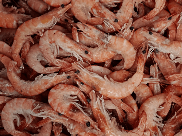 Королевские креветки в панцире 50/70 в/м  IQF, 4 кг