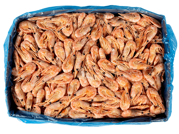 Креветка северная в/м в панцире 70/90, IQF