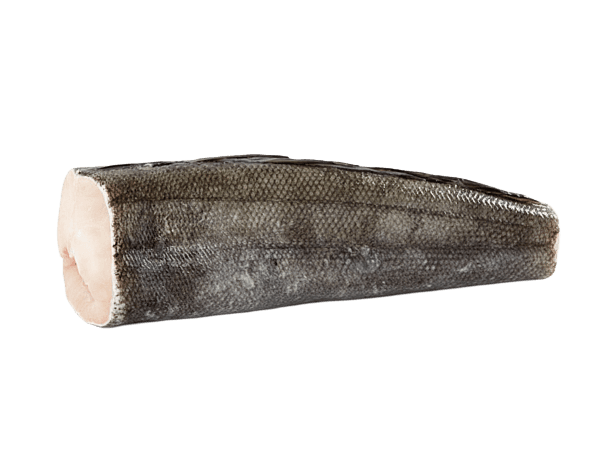 Патагонский клыкач с/м б/г  8-10кг