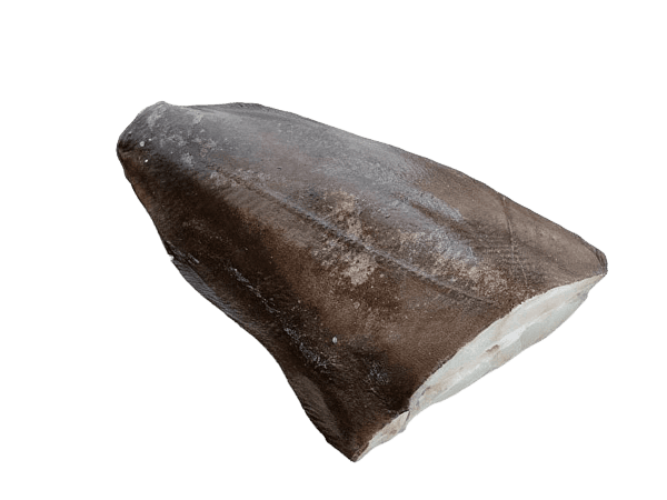 Палтус синекорый с/м тушка б/г ТУ 1-2кг