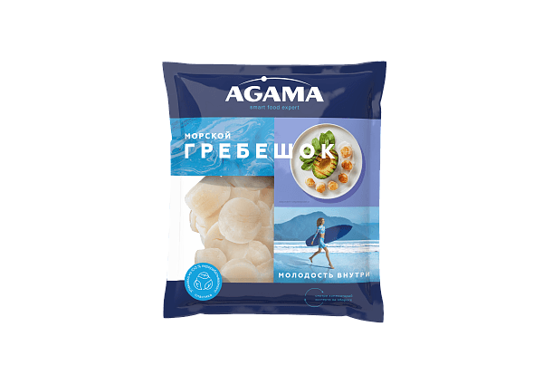 Морской гребешок