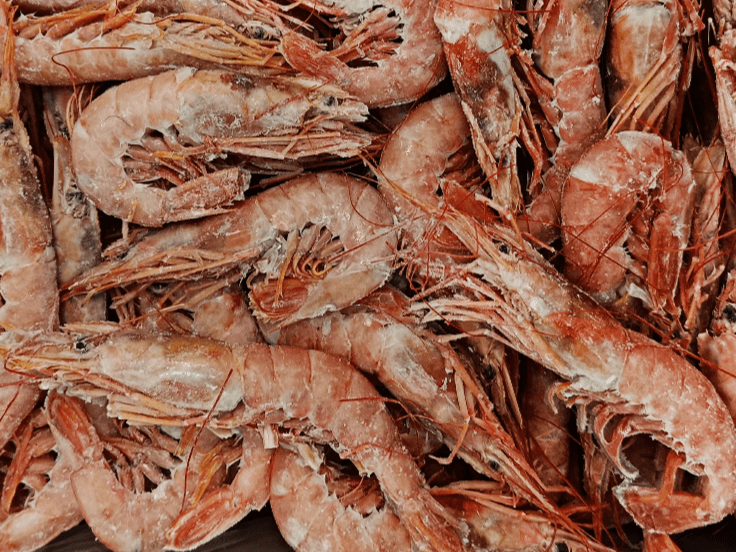 Креветки аргентинские в панцире 20/30 с/м IQF, 4 кг