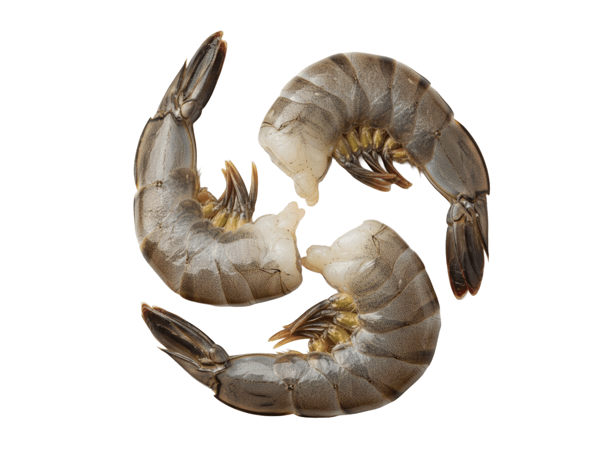 Креветка черная тигровая с/м б/г в панц. 13/15 IQF, Бангладеш