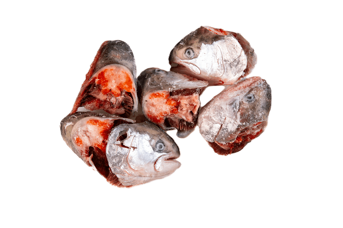 Форель зам. субпродукты головы м/с , IQF Беларусь , квант